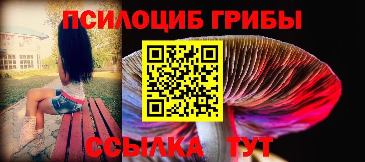 Псилоцибиновые грибы мицелий Мариинск