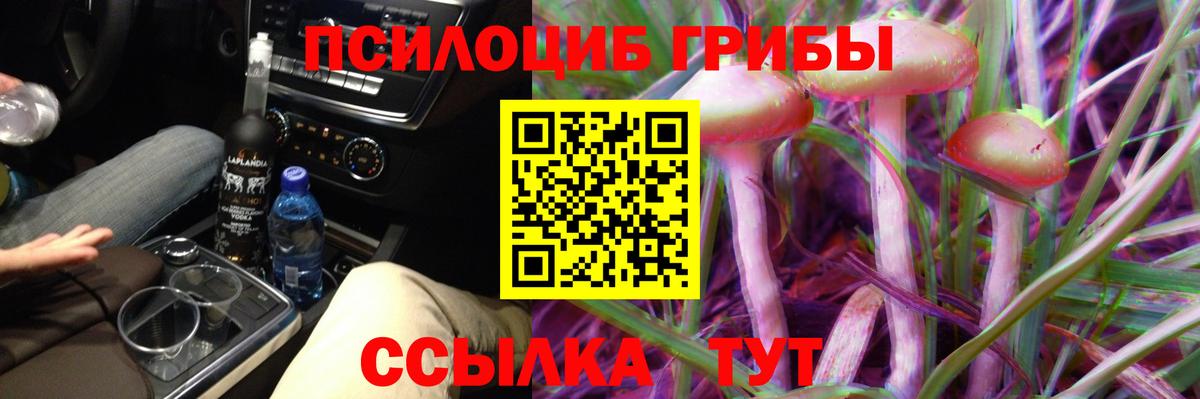 Галлюциногенные грибы мицелий  Вход с VPN  Мариинск  Галлюциногенные грибы Psilocybine cubensis 